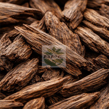Agarwood (OUD) Essential Oil Assam Hindi